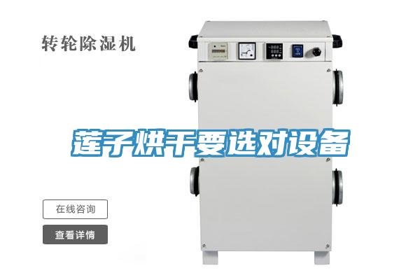 蓮子烘幹要選對設備