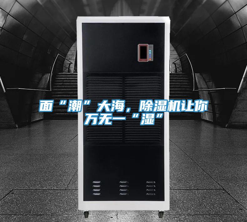 麵“潮”大海，PICACG哔咔官网入口讓你萬無一“濕”