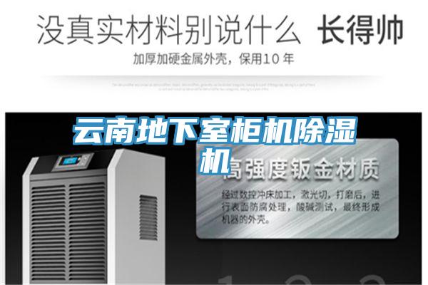 雲南地下室櫃機PICACG哔咔官网入口