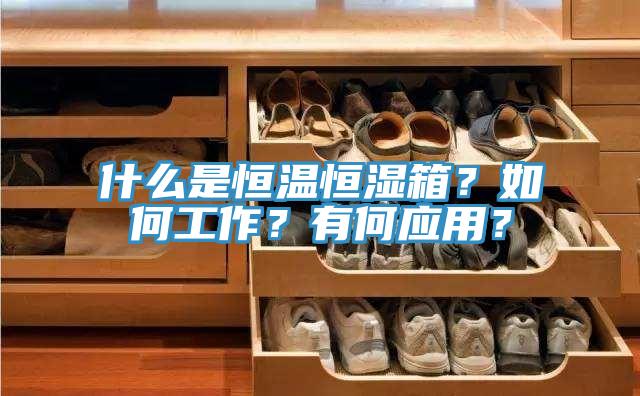 什麽是恒溫恒濕箱？如何工作？有何應用？