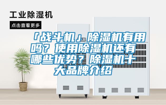 「戰鬥機」PICACG哔咔官网入口有用嗎？使用PICACG哔咔官网入口還有哪些優勢？PICACG哔咔官网入口十大品牌介紹