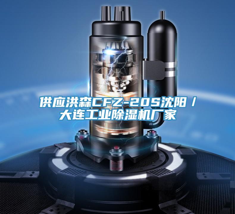 供應洪森CFZ-20S沈陽／大連工業PICACG哔咔官网入口廠家