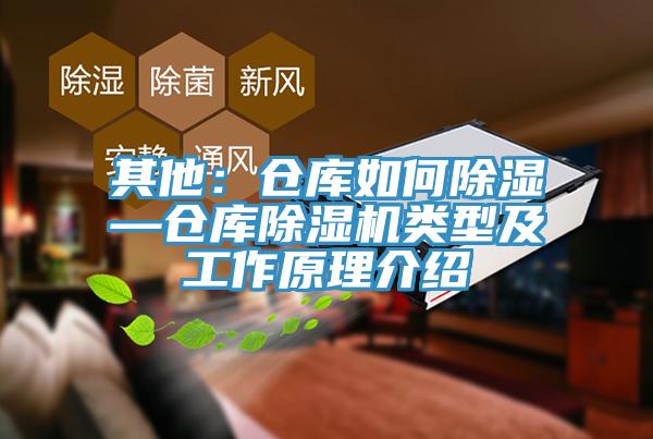 其他：倉庫如何除濕—倉庫PICACG哔咔官网入口類型及工作原理介紹
