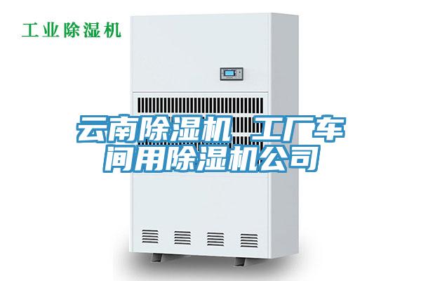 雲南PICACG哔咔官网入口 工廠車間用PICACG哔咔官网入口公司