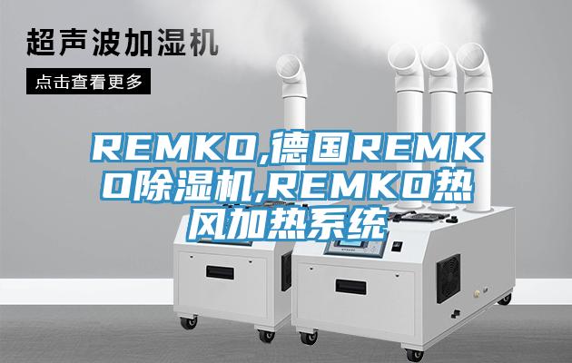 REMKO,德國REMKOPICACG哔咔官网入口,REMKO熱風加熱係統