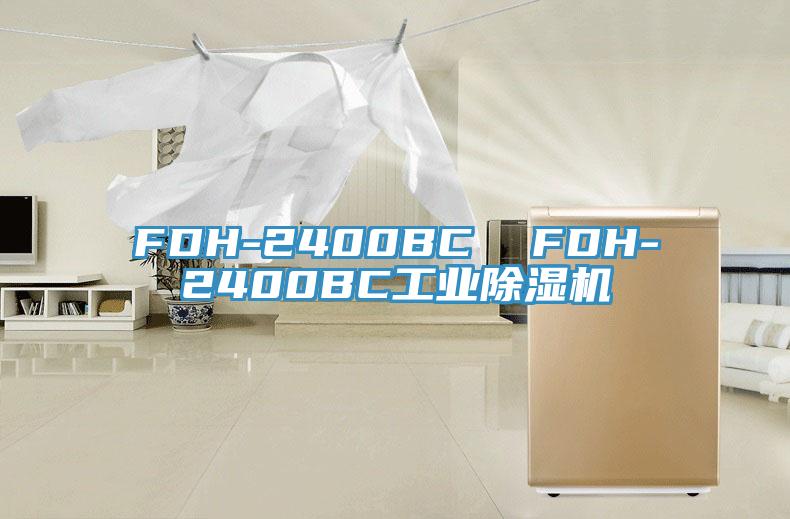 FDH-2400BC  FDH-2400BC工業PICACG哔咔官网入口