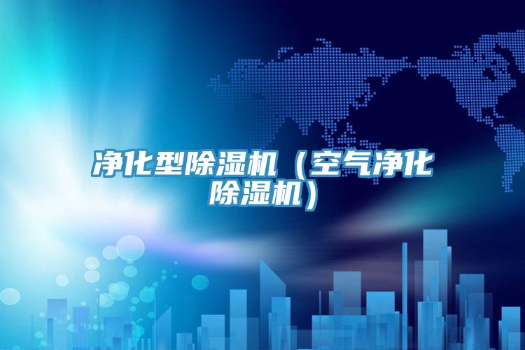 淨化型PICACG哔咔官网入口（空氣淨化PICACG哔咔官网入口）