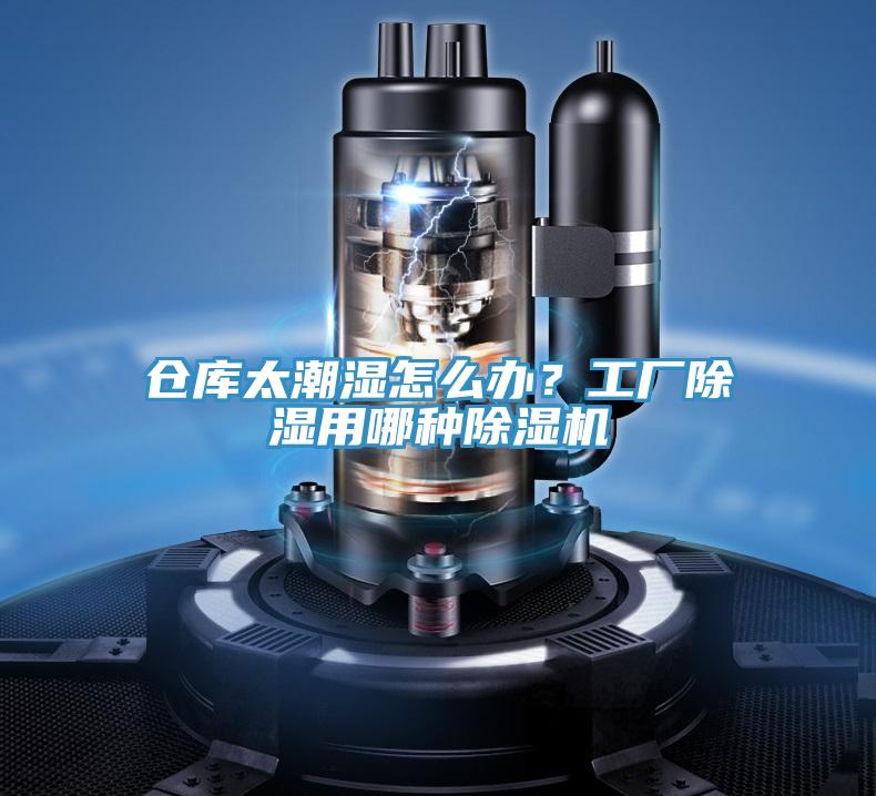 倉庫太潮濕怎麽辦？工廠除濕用哪種PICACG哔咔官网入口