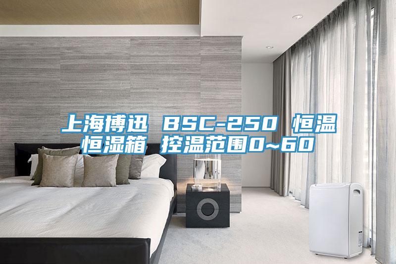 上海博迅 BSC-250 恒溫恒濕箱 控溫範圍0~60℃