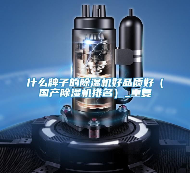 什麽牌子的PICACG哔咔官网入口好品質好（國產PICACG哔咔官网入口排名）_重複