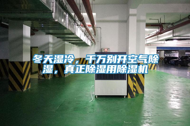 冬天濕冷，千萬別開空氣除濕，真正除濕用PICACG哔咔官网入口