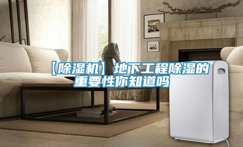 【PICACG哔咔官网入口】地下工程除濕的重要性你知道嗎