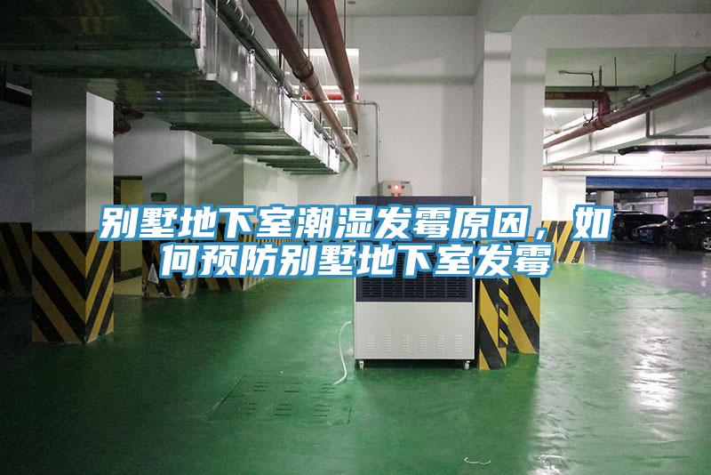 別墅地下室潮濕發黴原因，如何預防別墅地下室發黴