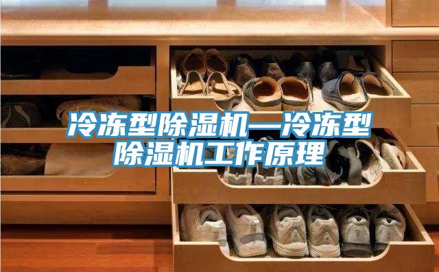 冷凍型PICACG哔咔官网入口—冷凍型PICACG哔咔官网入口工作原理