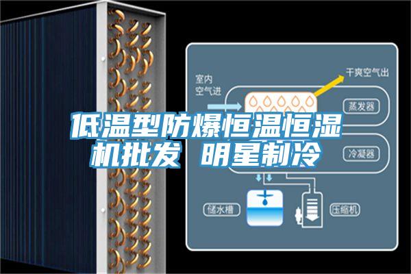 低溫型防爆恒溫恒濕機批發 明星製冷