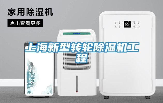 上海新型轉輪PICACG哔咔官网入口工程
