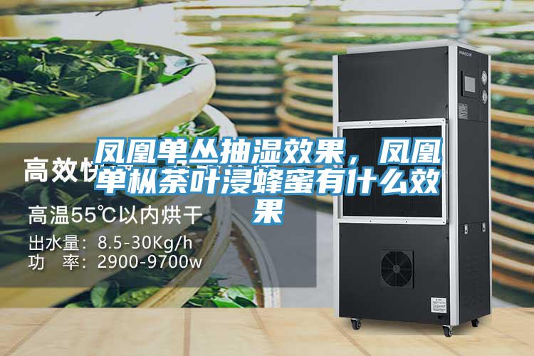 鳳凰單叢抽濕效果，鳳凰單樅荼葉浸蜂蜜有什麽效果