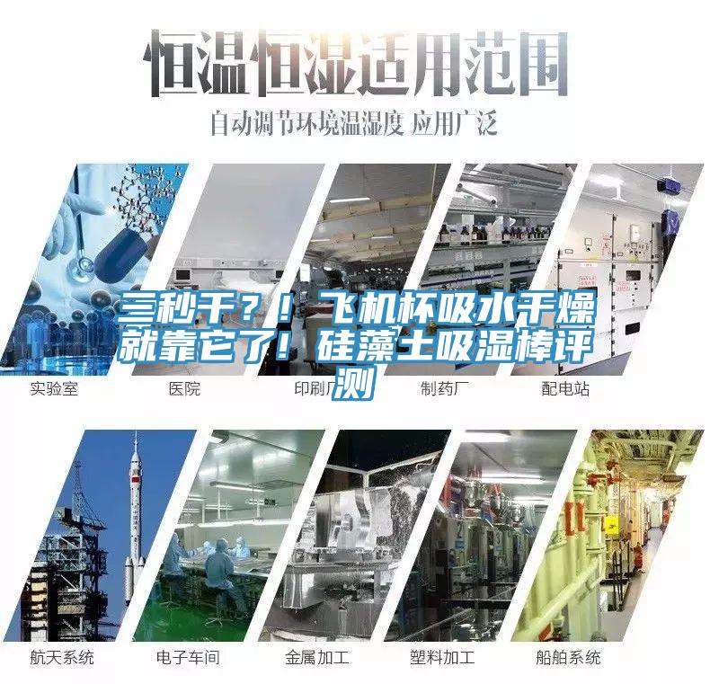 三秒幹？! 飛機杯吸水幹燥就靠它了! 矽藻土吸濕棒評測