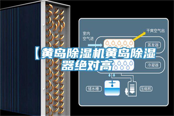 【黃島PICACG哔咔官网入口黃島除濕器絕對高