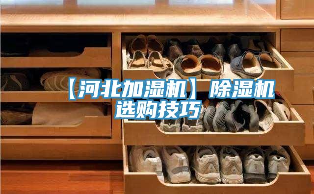 【河北加濕機】PICACG哔咔官网入口選購技巧