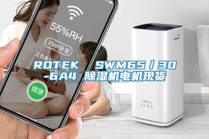 ROTEK  SWM65／30-6A4 PICACG哔咔官网入口電機現貨