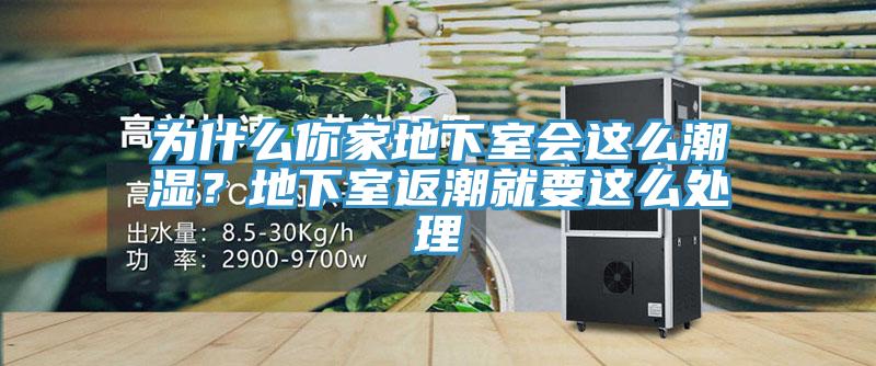 為什麽你家地下室會這麽潮濕？地下室返潮就要這麽處理