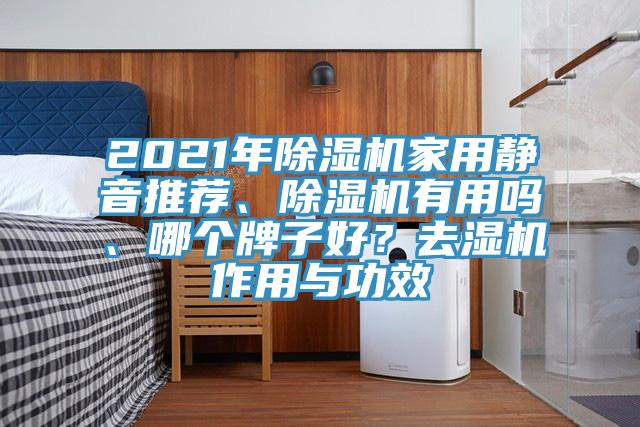 2021年PICACG哔咔官网入口家用靜音推薦、PICACG哔咔官网入口有用嗎、哪個牌子好？去濕機作用與功效