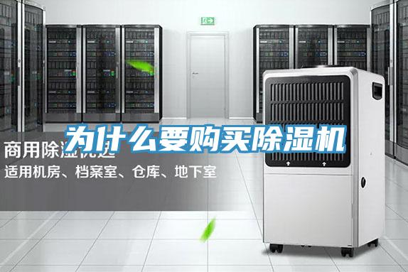 為什麽要購買PICACG哔咔官网入口