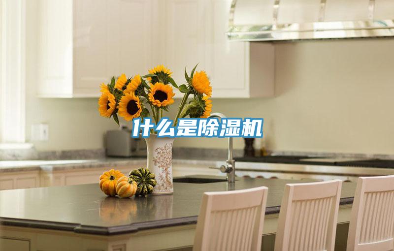 什麽是PICACG哔咔官网入口