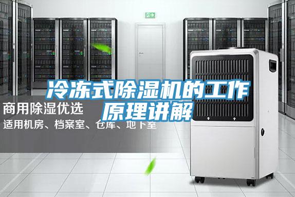 冷凍式PICACG哔咔官网入口的工作原理講解