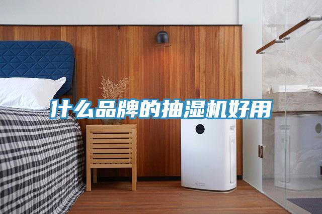 什麽品牌的抽濕機好用