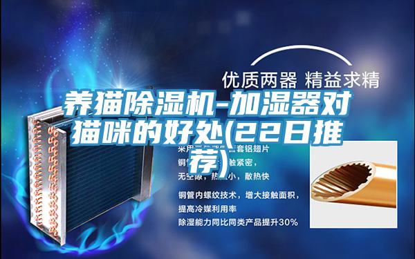 養貓PICACG哔咔官网入口-加濕器對貓咪的好處(22日推薦)