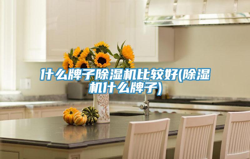 什麽牌子PICACG哔咔官网入口比較好(PICACG哔咔官网入口什麽牌子)