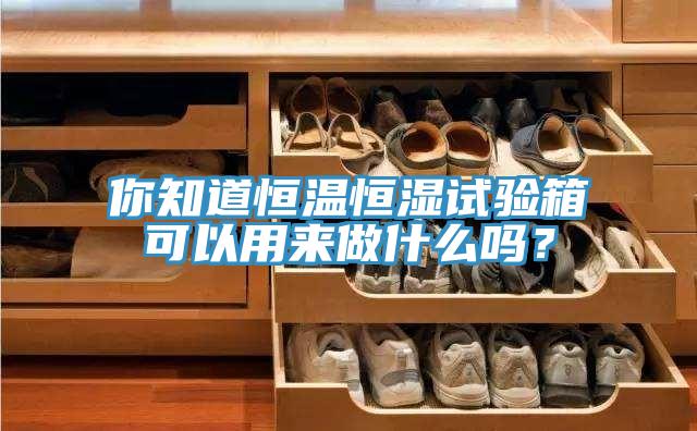 你知道恒溫恒濕試驗箱可以用來做什麽嗎？