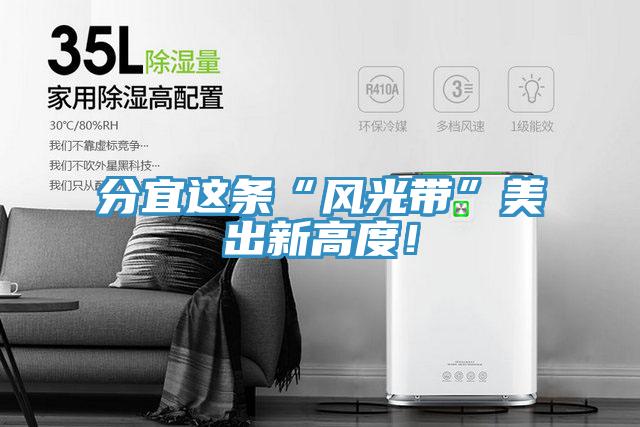 分宜這條“風光帶”美出新高度！