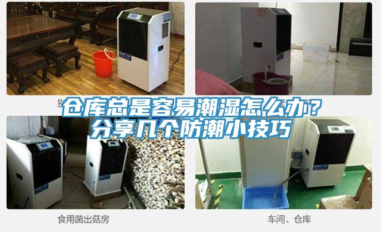 倉庫總是容易潮濕怎麽辦？分享幾個防潮小技巧