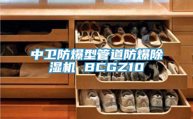 中衛防爆型管道防爆PICACG哔咔官网入口 BCGZ10