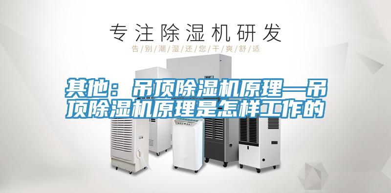 其他：吊頂PICACG哔咔官网入口原理—吊頂PICACG哔咔官网入口原理是怎樣工作的