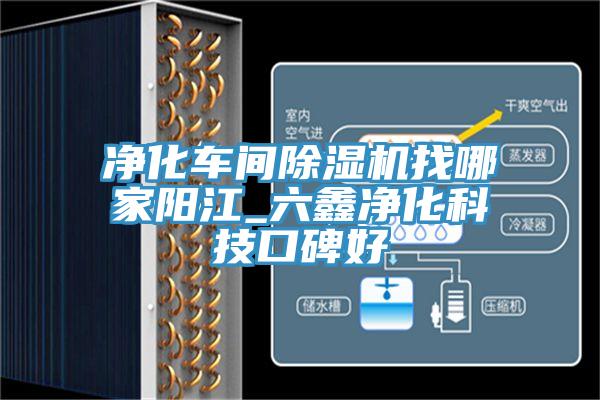 淨化車間PICACG哔咔官网入口找哪家陽江_六鑫淨化科技口碑好