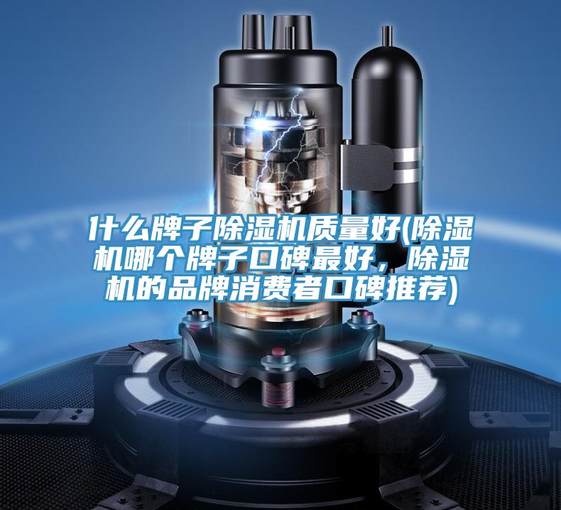 什麽牌子PICACG哔咔官网入口質量好(PICACG哔咔官网入口哪個牌子口碑最好，PICACG哔咔官网入口的品牌消費者口碑推薦)