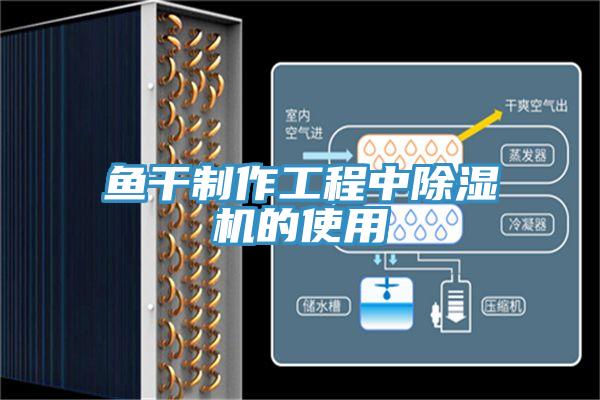 魚幹製作工程中PICACG哔咔官网入口的使用