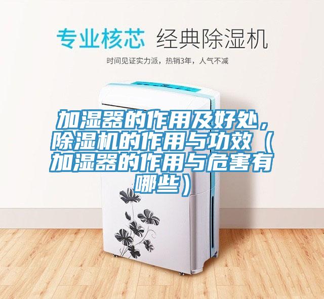 加濕器的作用及好處，PICACG哔咔官网入口的作用與功效（加濕器的作用與危害有哪些）