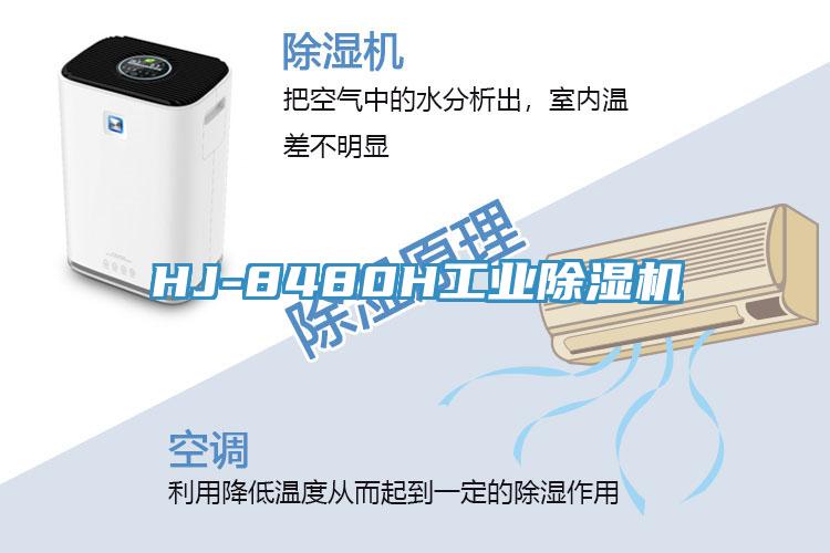 HJ-8480H工業PICACG哔咔官网入口