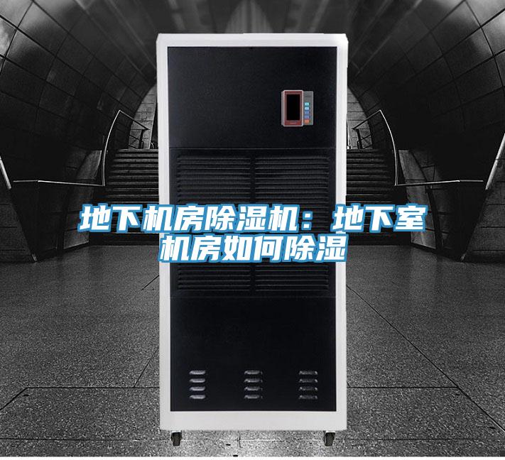 地下機房PICACG哔咔官网入口：地下室機房如何除濕