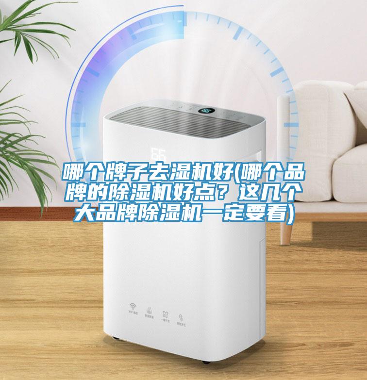 哪個牌子去濕機好(哪個品牌的PICACG哔咔官网入口好點？這幾個大品牌PICACG哔咔官网入口一定要看)