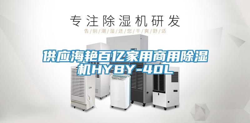 供應海豔百億家用商用PICACG哔咔官网入口HYBY-40L