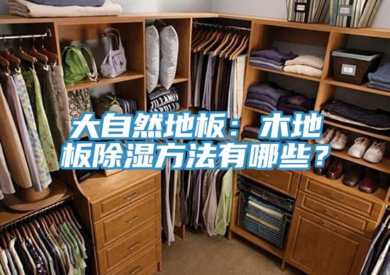 大自然地板：木地板除濕方法有哪些？