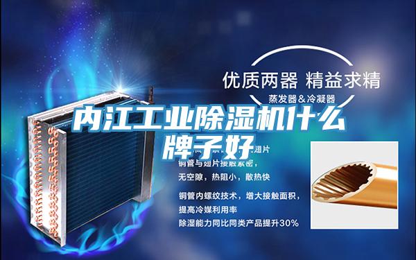 內江工業PICACG哔咔官网入口什麽牌子好