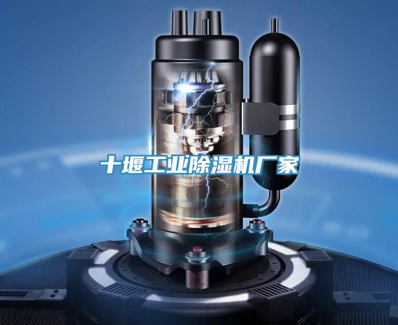 十堰工業PICACG哔咔官网入口廠家