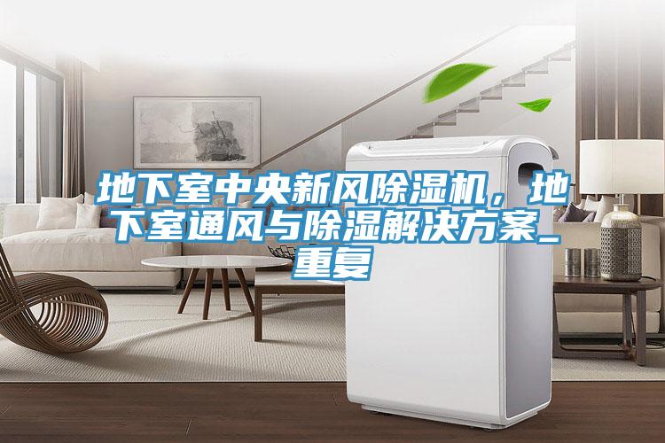 地下室中央新風PICACG哔咔官网入口，地下室通風與除濕解決方案_重複